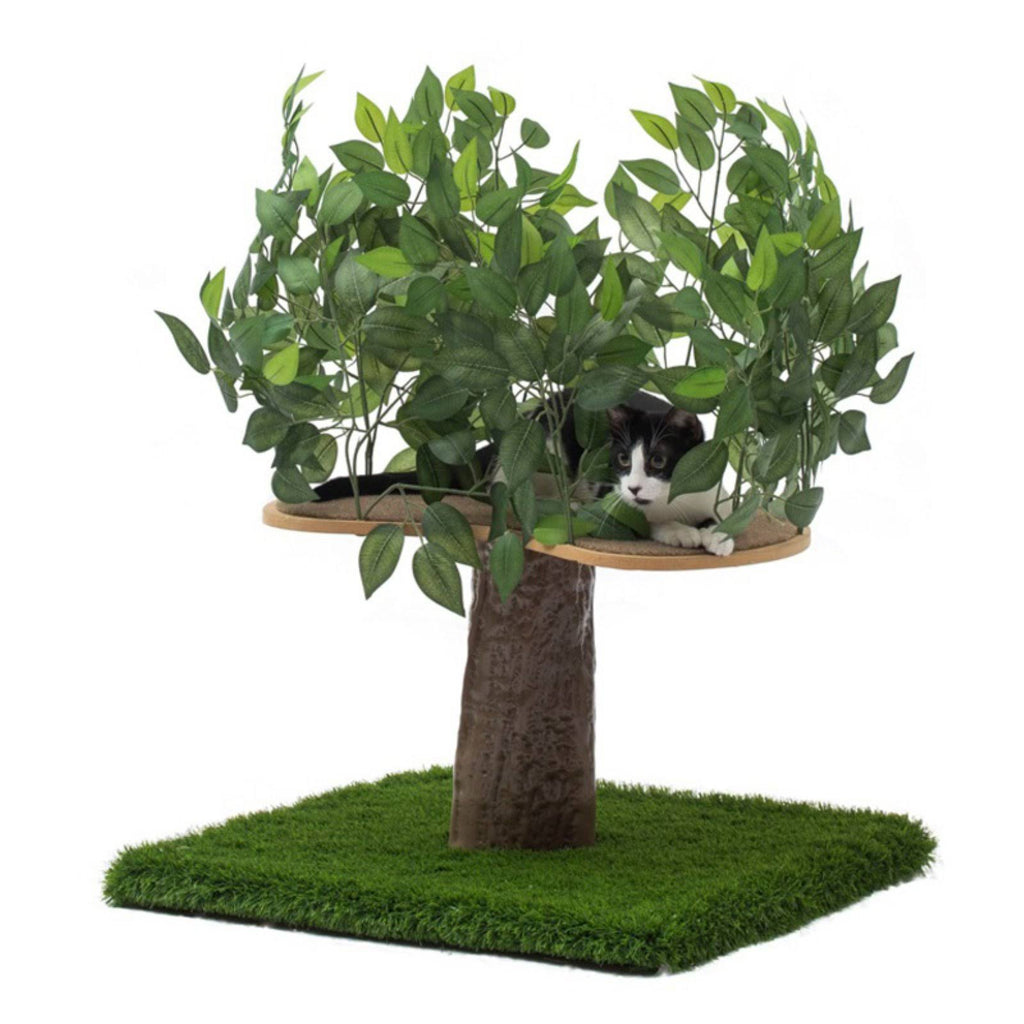24 in. Square Cat Tree S5817