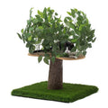 24 in. Square Cat Tree S5817