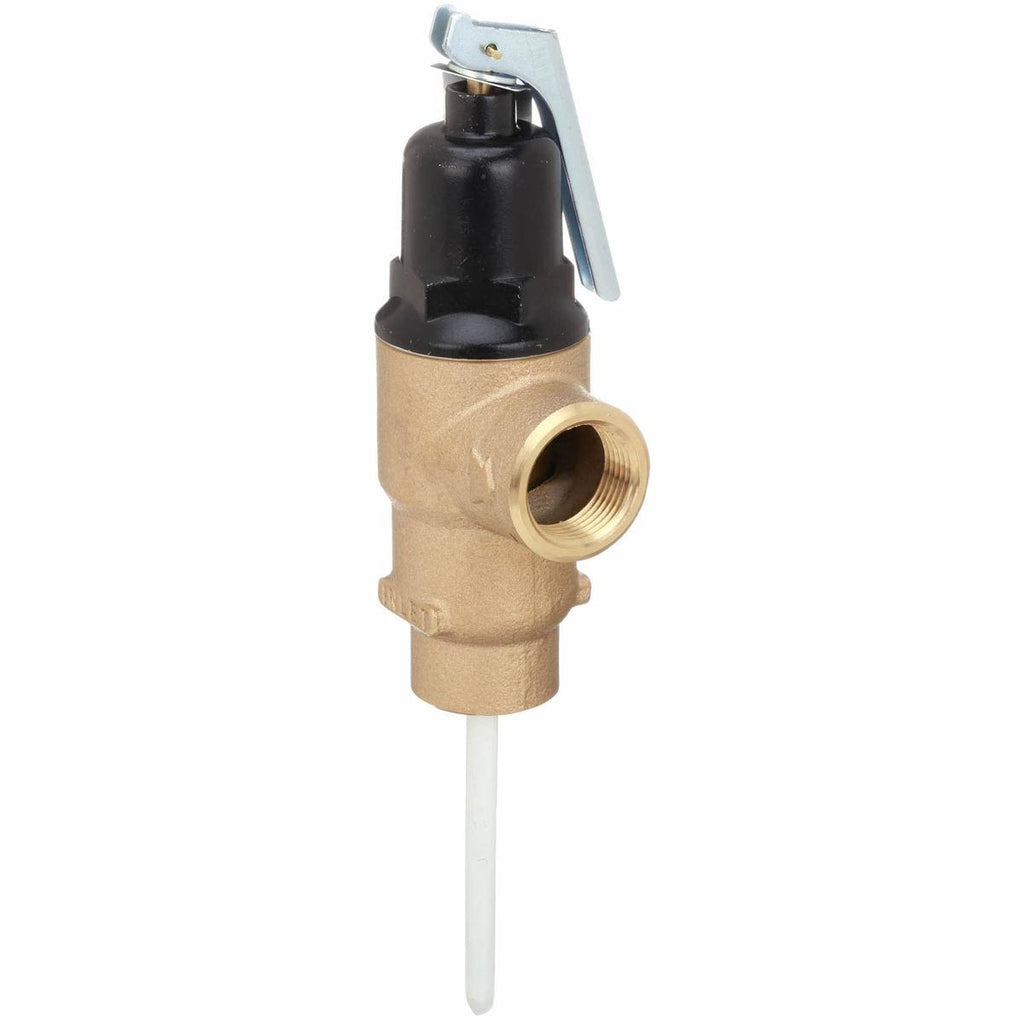 T and P Relief Valve G377391