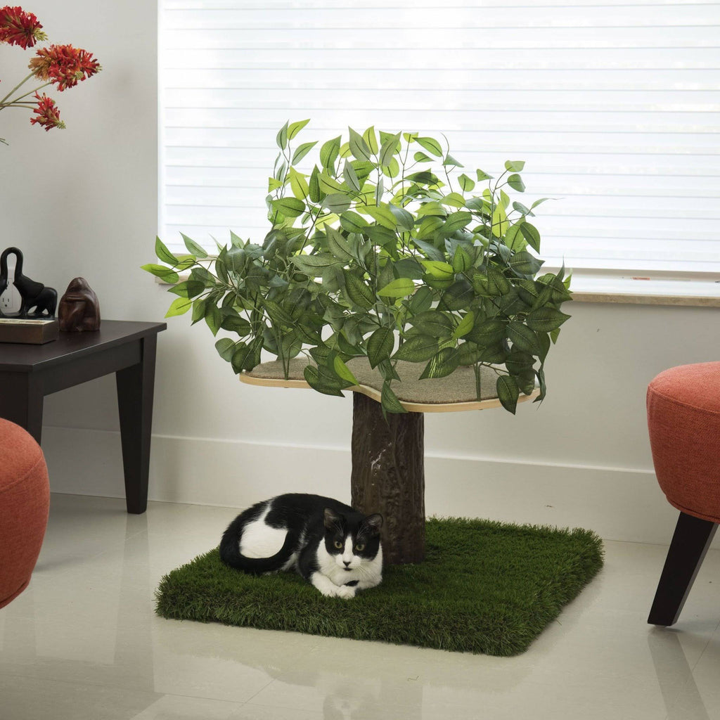 24 in. Square Cat Tree S5817