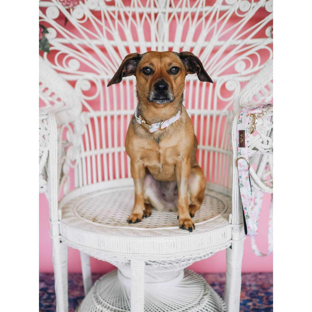 Pink Papyrus Collar T87306