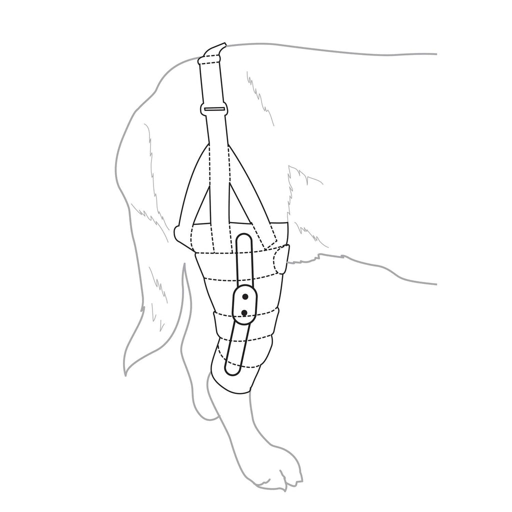 Dog Knee Brace A161