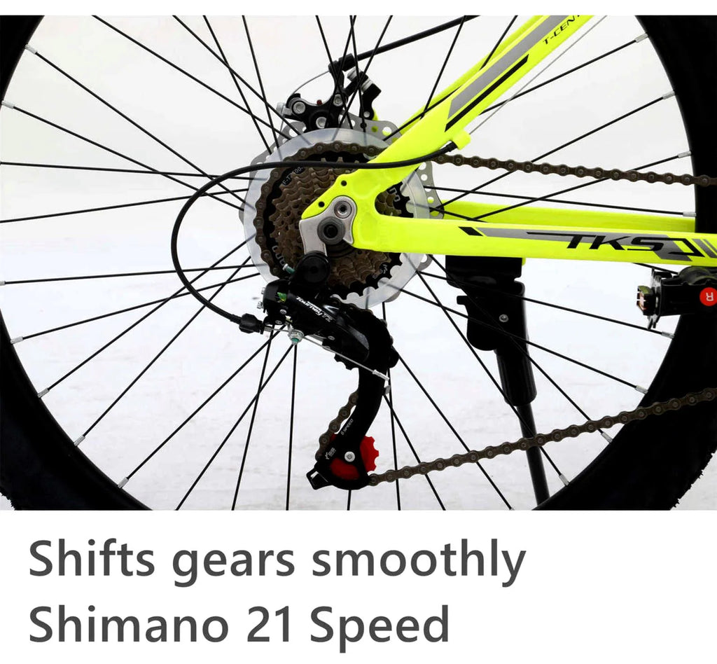 26 inch 21-Speed Mountain Bike D35409
