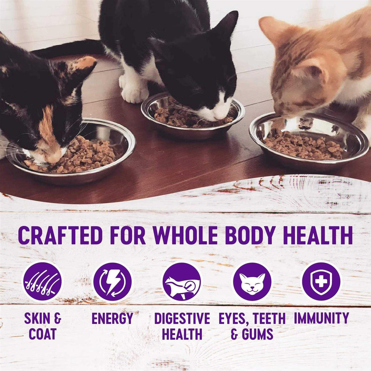 Cat Food D80387