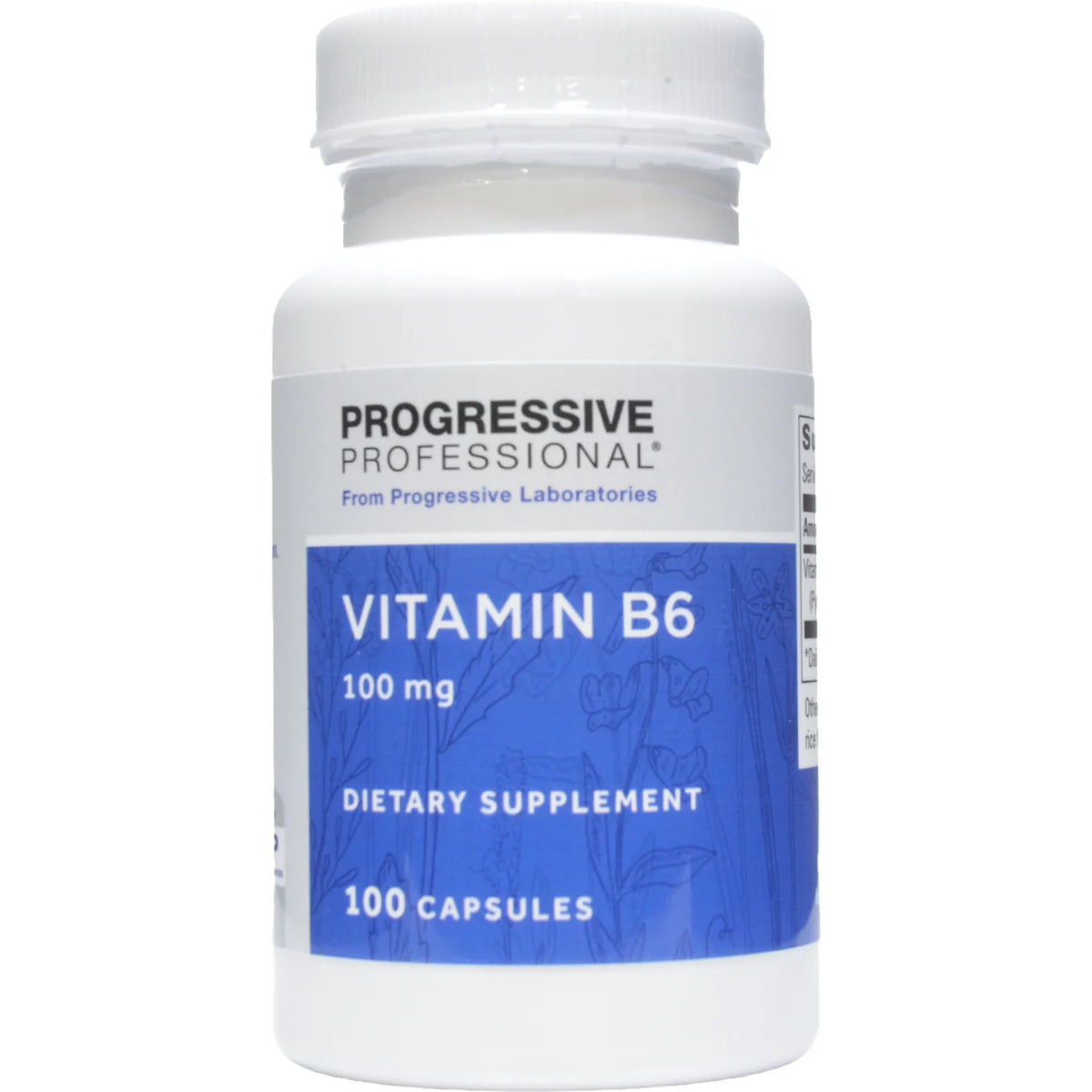 Vitamin B6 100 mg 100 caps J803