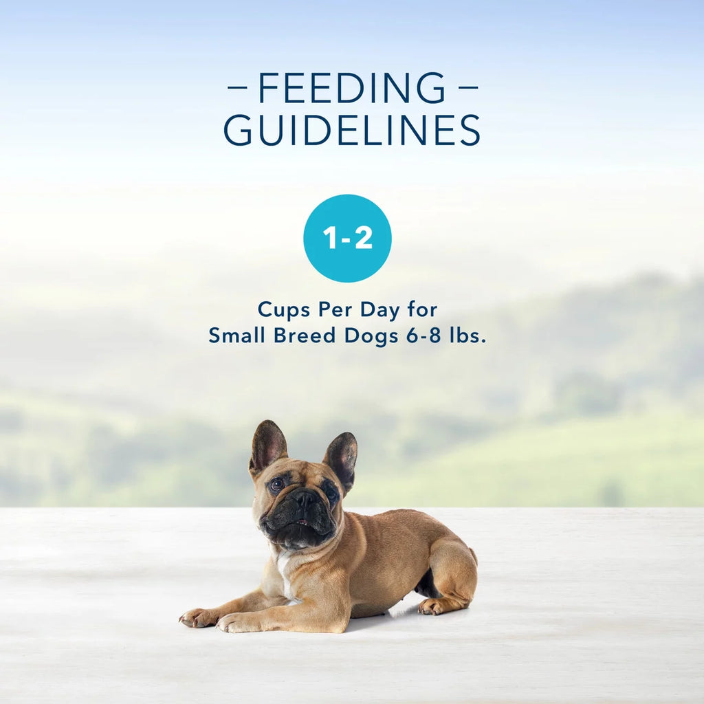 Grain-Free Pate Wet Dog Food Variety Pack, 3.5 oz. Cups (12 Pack) P11340