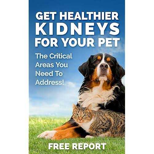 Kidney Support Supplement Q413591