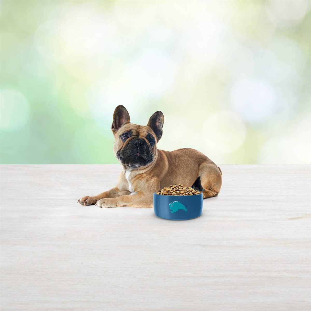 Free Dog Food I8034