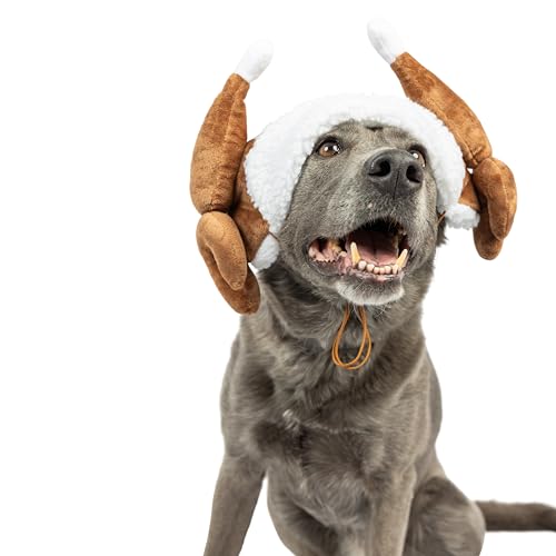 Antler Buffalo Check Pet Hat O66110