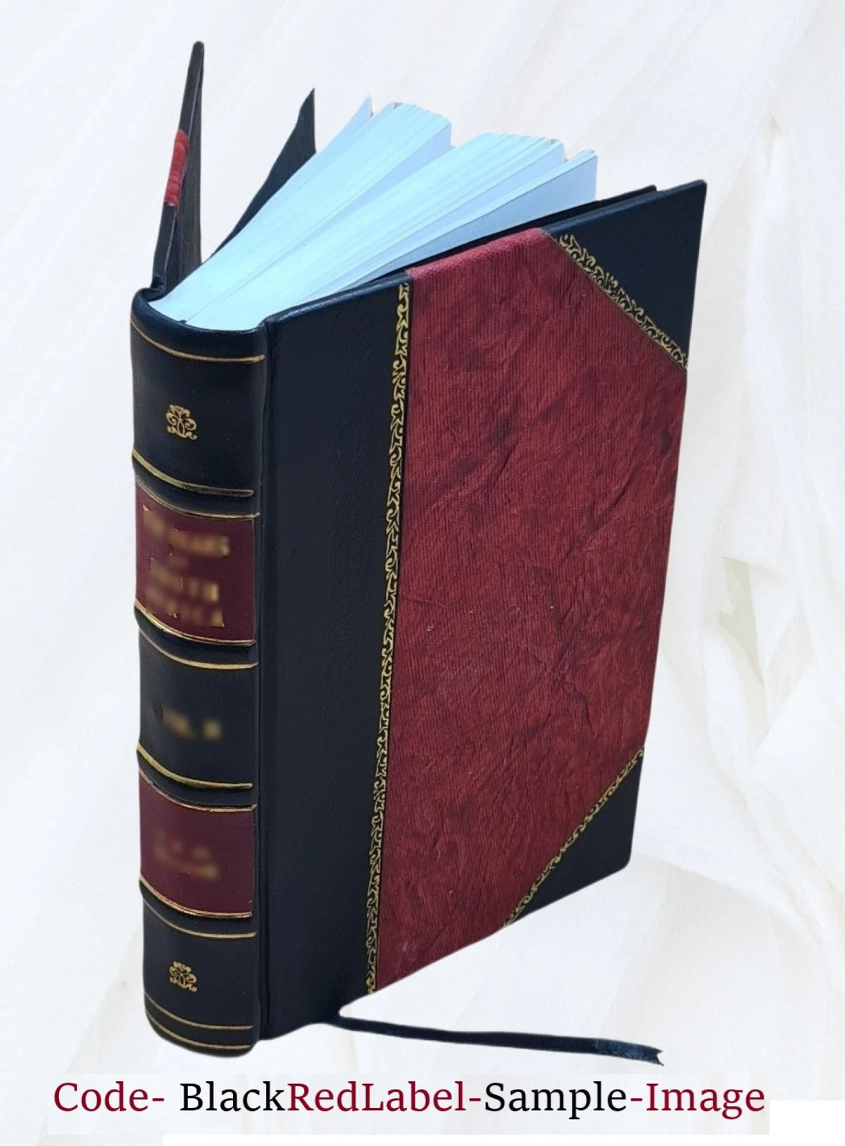 Leather Bound Book C508726