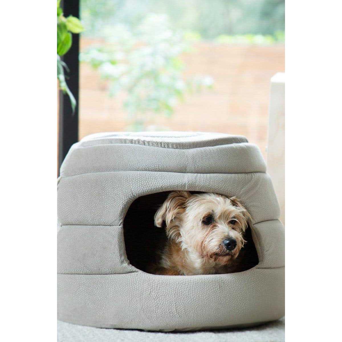 2-in-1 Honeycomb Hut-Cuddler B882649