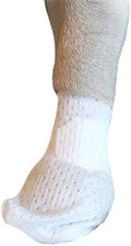 Paw Bandages for Dogs, Cats and Pets, 12 Pack (Large) R8229