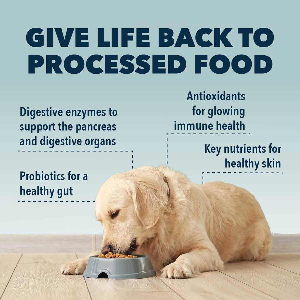 Dog Food Topper P21644