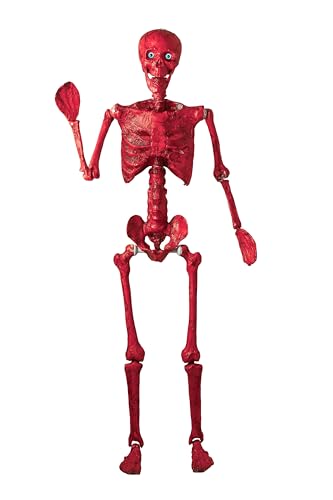 5.4Ft Posable Skeleton with Glowing Eyes P2440