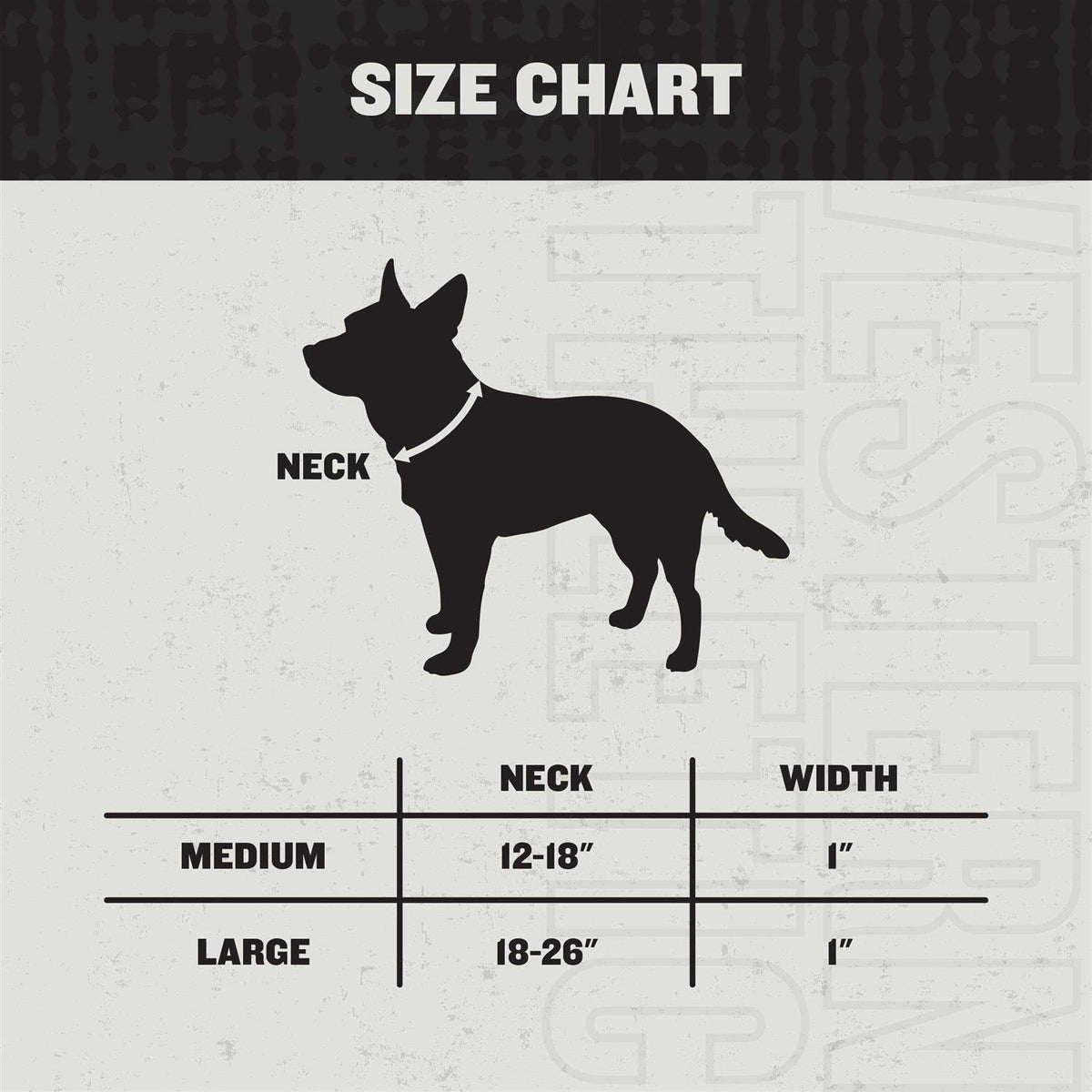 Dog Collar V642