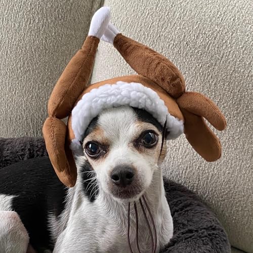 Antler Buffalo Check Pet Hat O66110