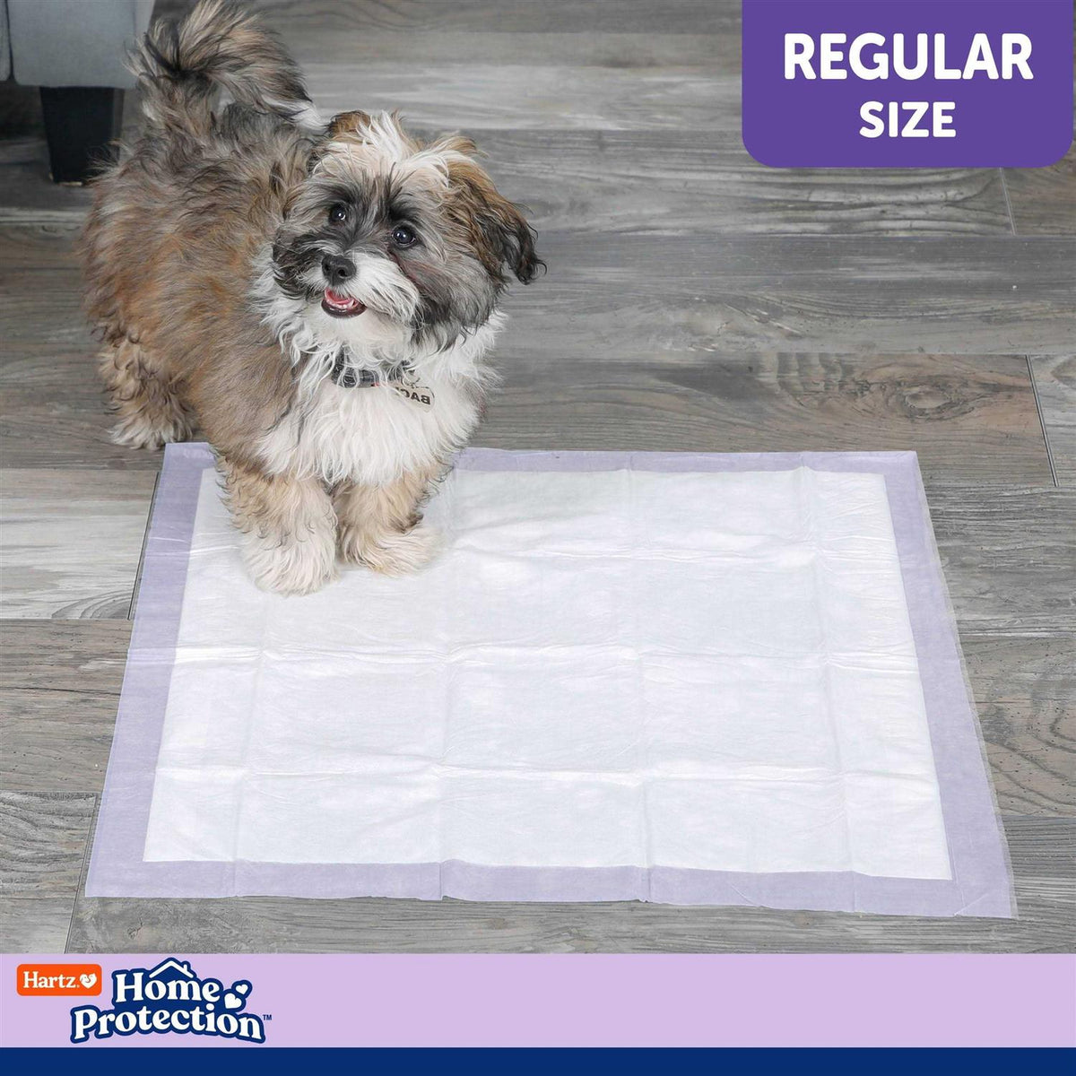 Lavender Scent Odor Eliminating Dog Pads U74036