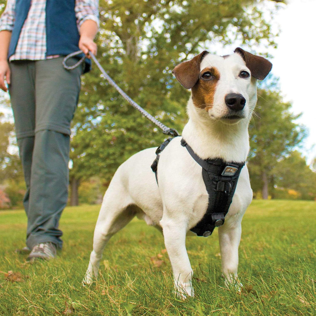 Tru Fit Smart Harness N91779