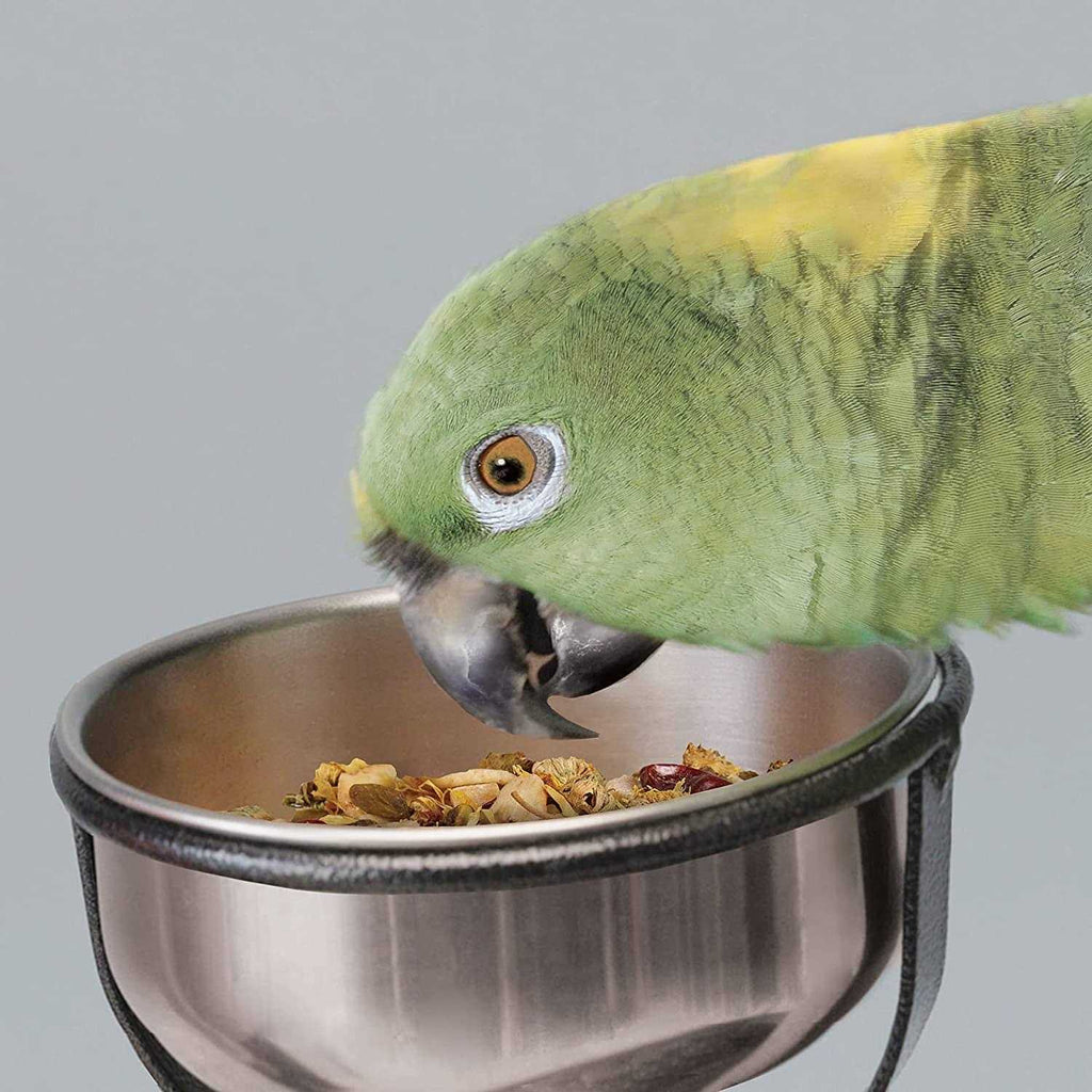Bird Stand O288674