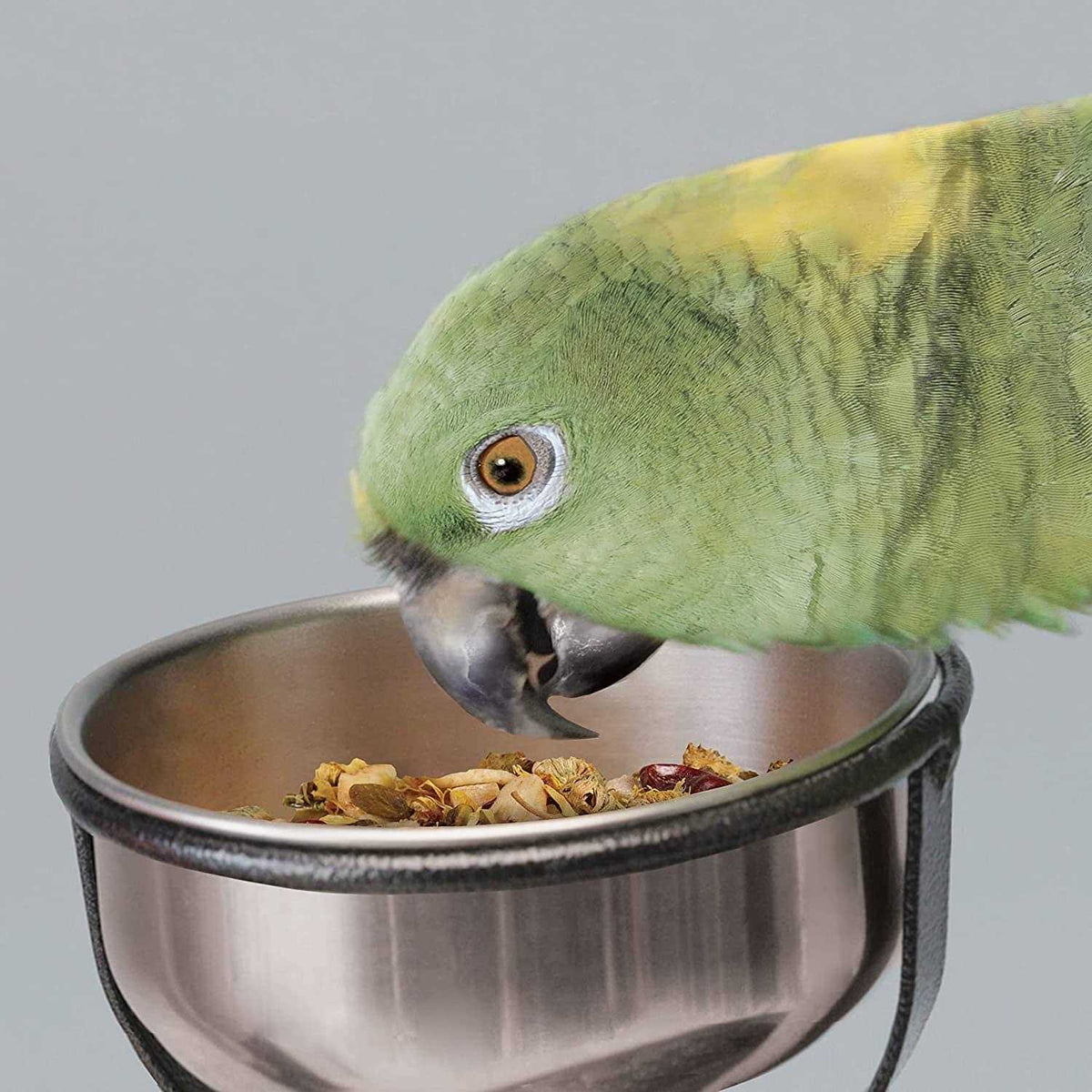 Bird Stand O288674