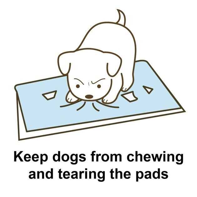Potty Pad Tray Z862860