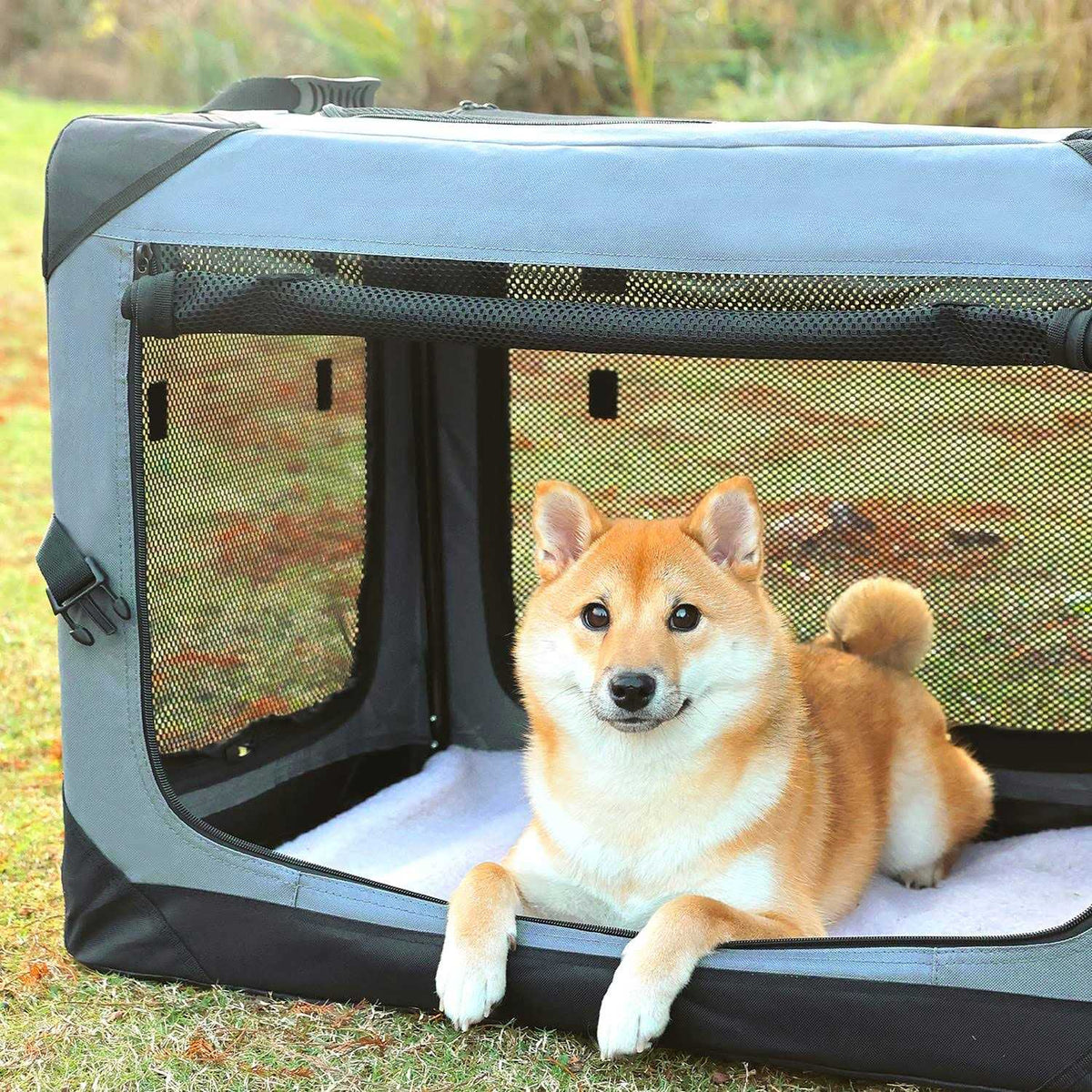 Collapsible 4-Door Soft Dog Crate Z64406