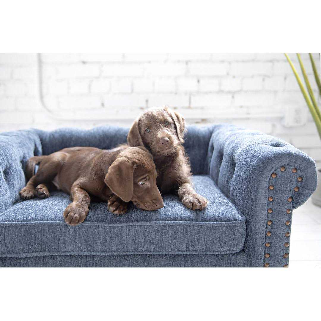Sofa Dog Bed H2293