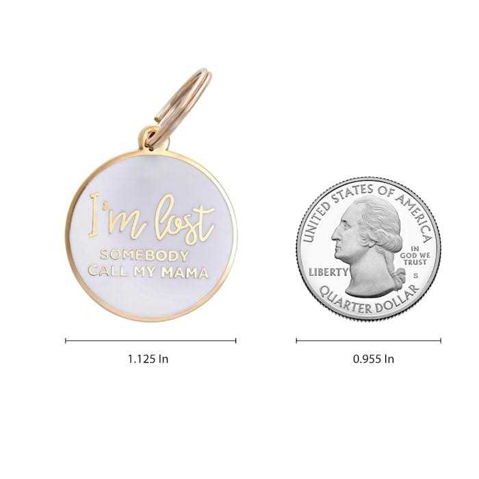 Gold & White Pet ID Tag H3665