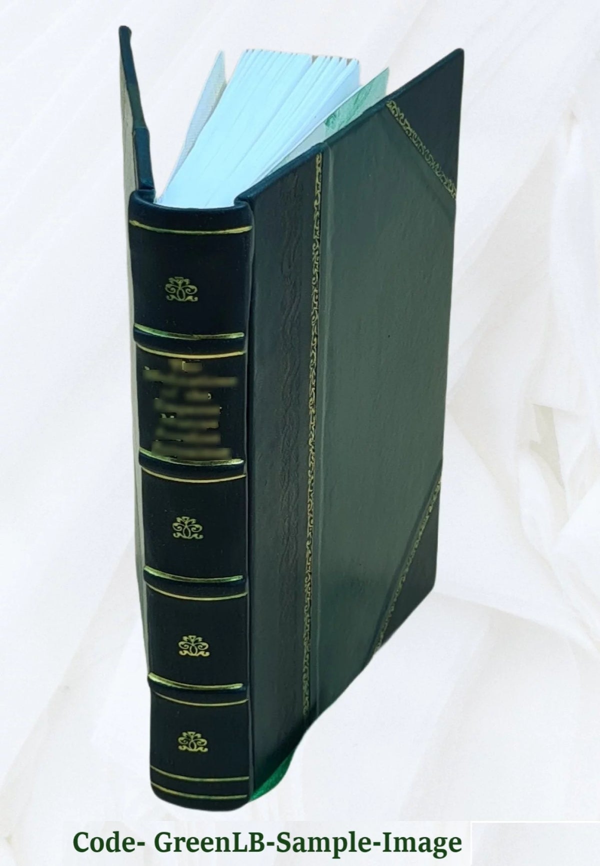 1904 Leather Bound W2566
