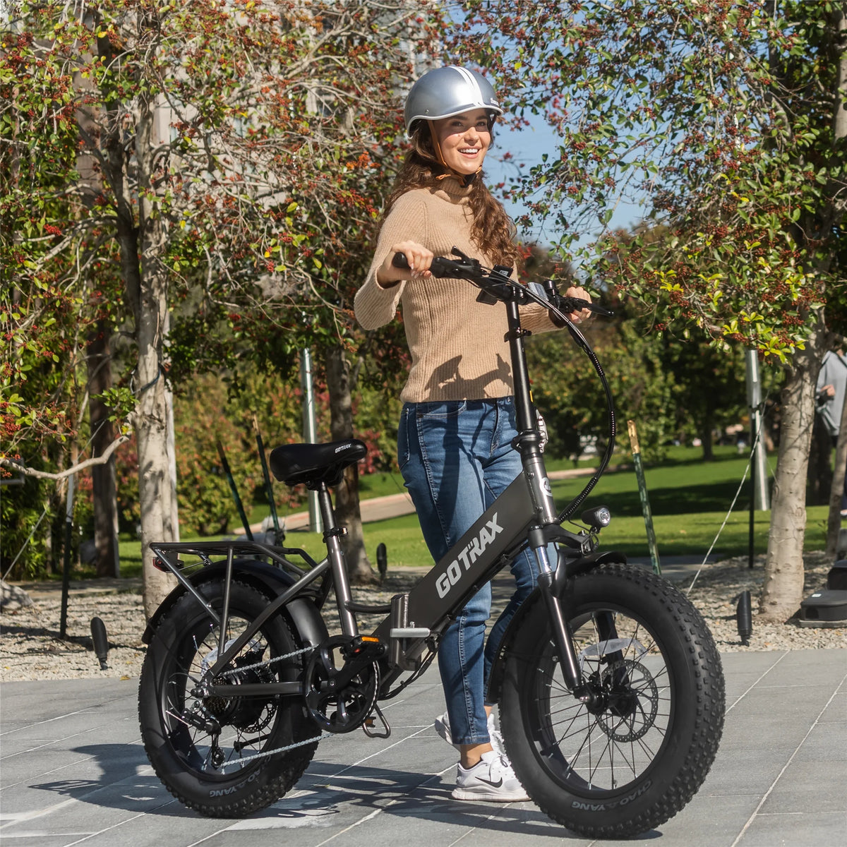 500W Fat Tire Folding Electric Bike P8240