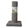 Cat Carpet Scratching Post W5509